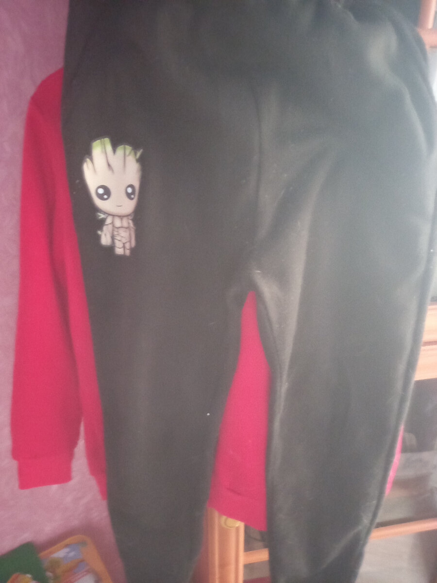 Фото аффтора. Костюм спортивный (брюки)