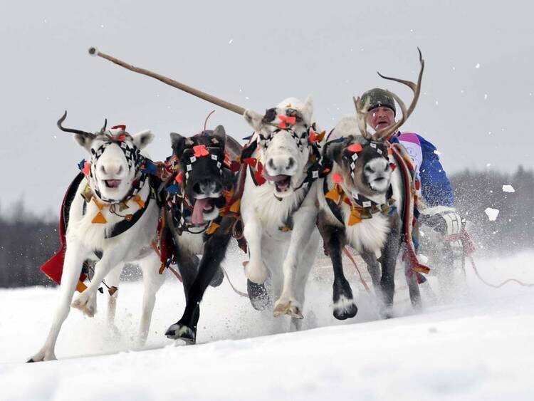 фото - Лев Федосеев.