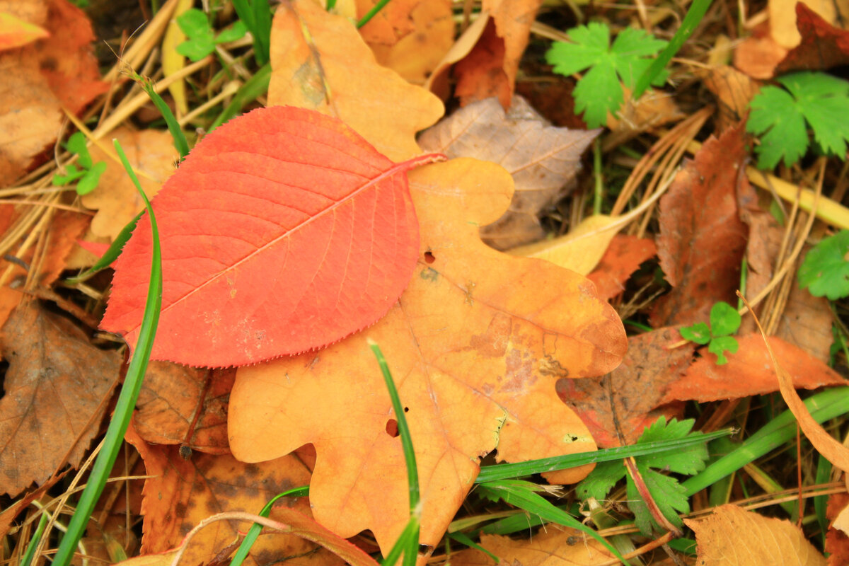 Прекрасное время