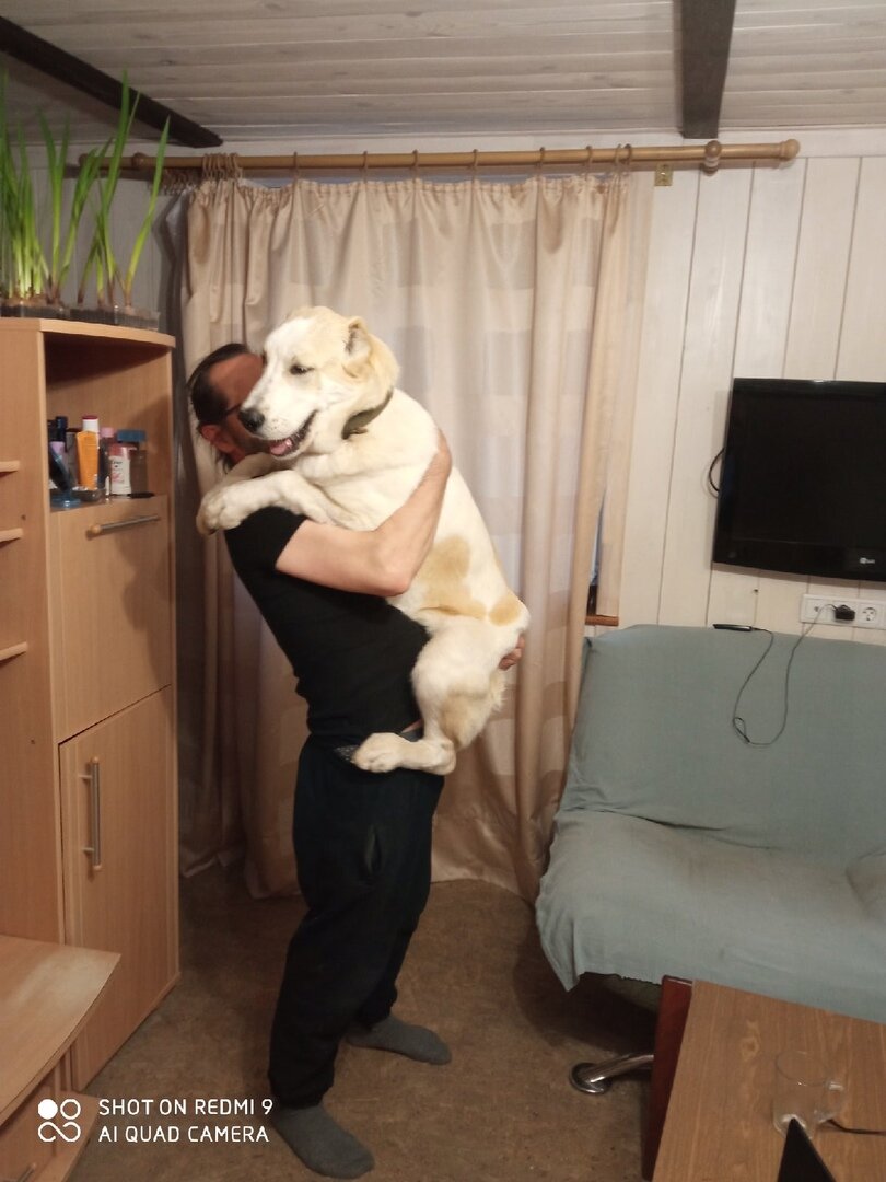 перед взвешиванием