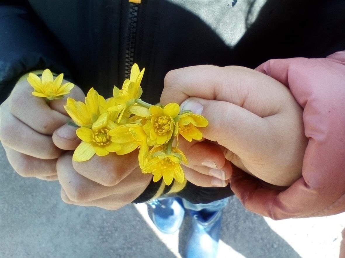 Первые цветочки мамам