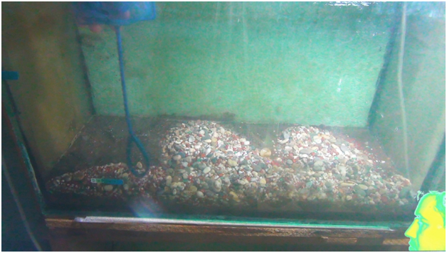 За передним стеклом вынужден обволакивать почву частью "шапки" из мелкого грунта— получилось!