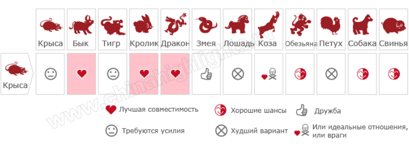 Женщина рак крыса совместимость