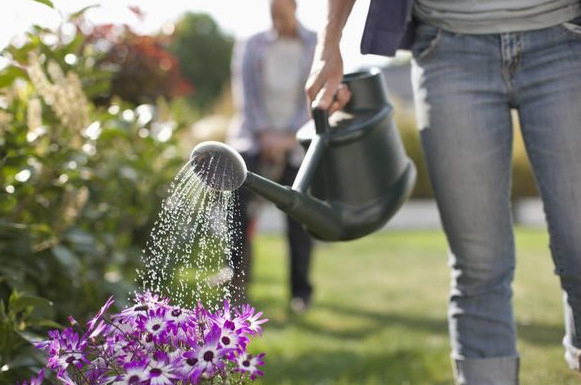 5 ошибок, которые вы можете совершать при поливе сада