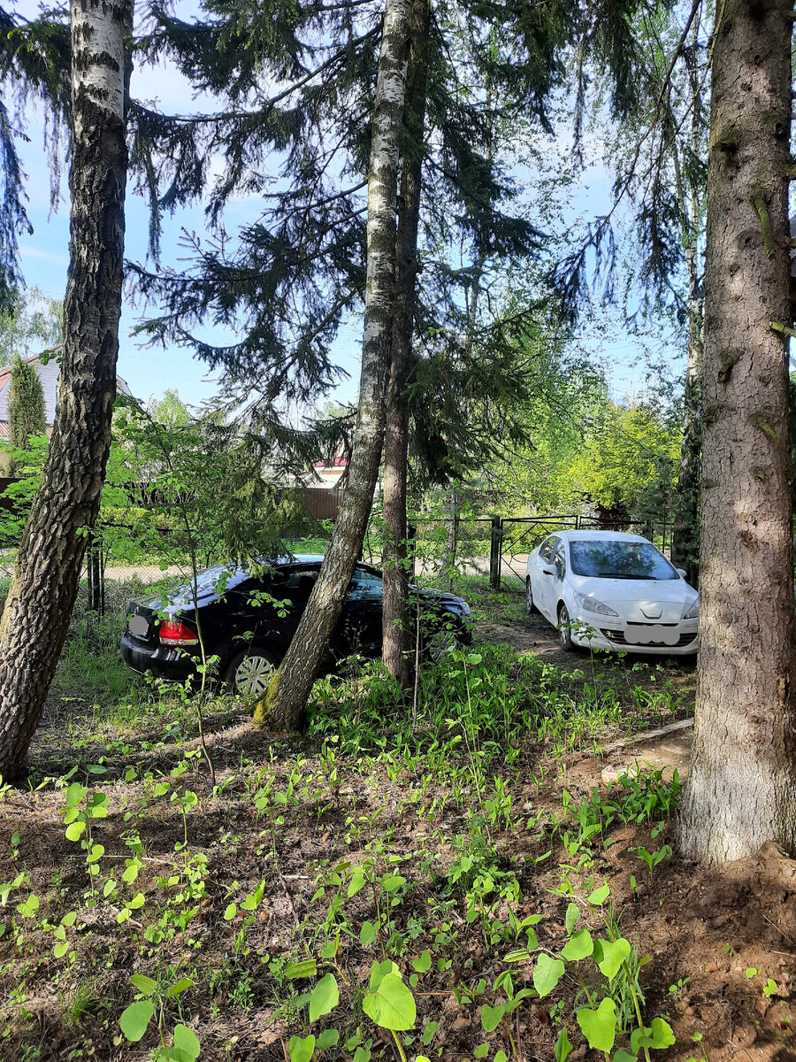 Все наконец-то доехали