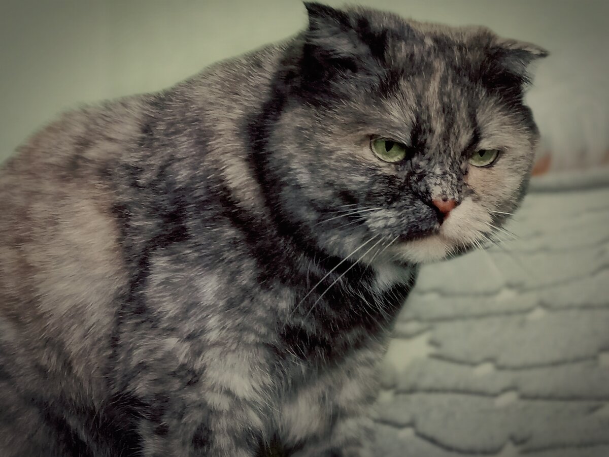 Примерно с таким видом все осматривала