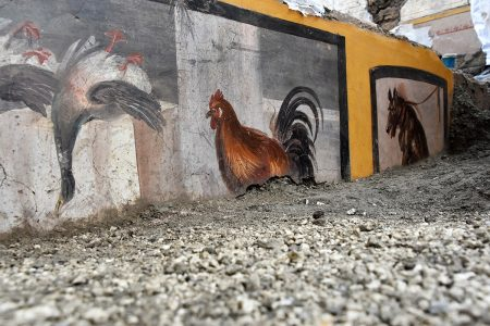 Фотография любезно предоставлена ​​Археологическим парком Помпеи. "Это не только еще одно представление о повседневной жизни Помпеи, но и исключительные возможности для изучения этого термополия, потому что впервые территория этого типа была полностью раскопана, и было возможно провести все исследования. анализирует , что современные технологии разрешения,» сказал Массимо Осанна на тот момент  генеральный директор археологического парка Помпеях, в заявлении .