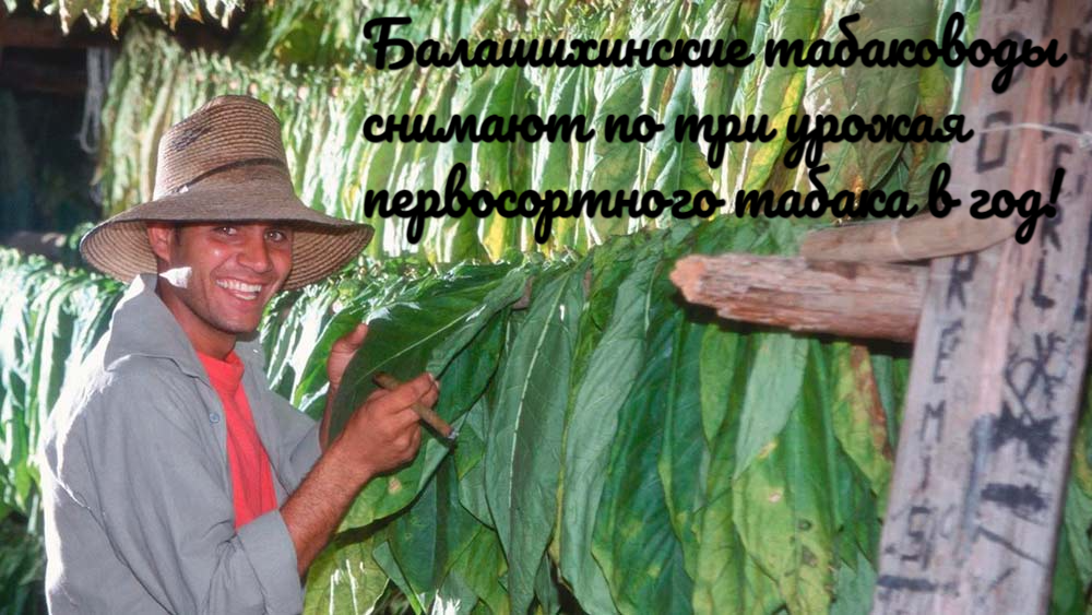 Авторский мем.