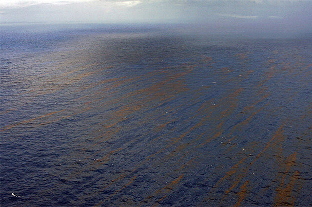 Фото взято из открытых источников 