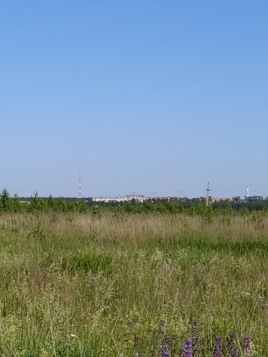 Тот самый вид, который я так любила созерцать