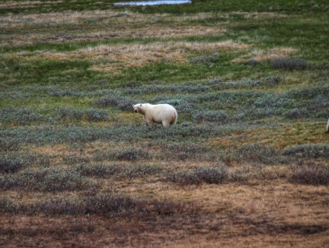 Кто там с фотокамерой?