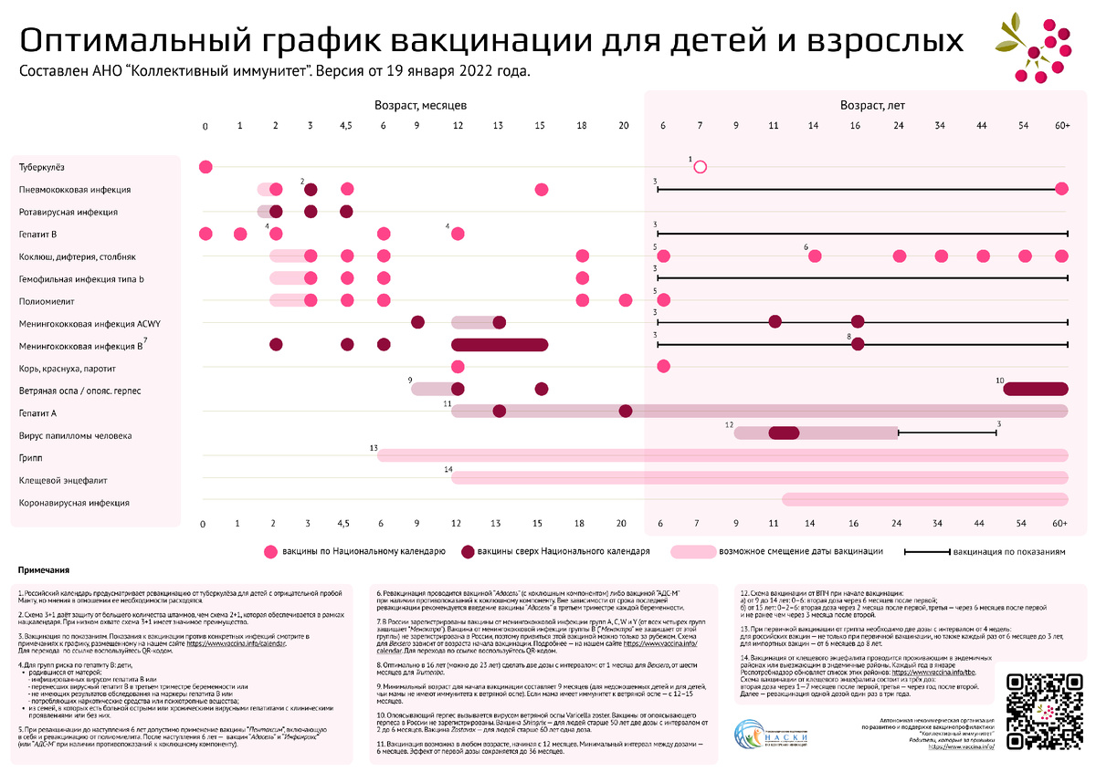 Оптимальный график вакцинации для детей и взрослых от 19.01.2022 года, составленный АНО "Коллективный иммунитет" на основании Национального календаря профилактических прививок и Календаря профилактических прививок по эпидемическим показаниям