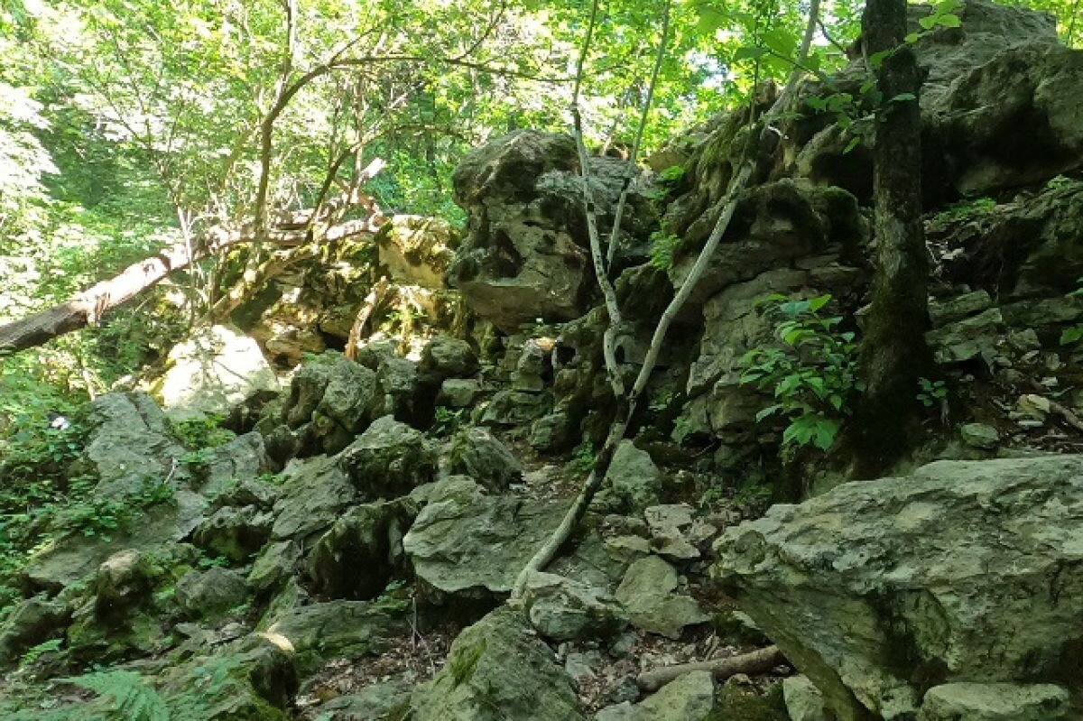    На Кубани площадь охраняемых природных зон увеличат на 120 тысяч га
