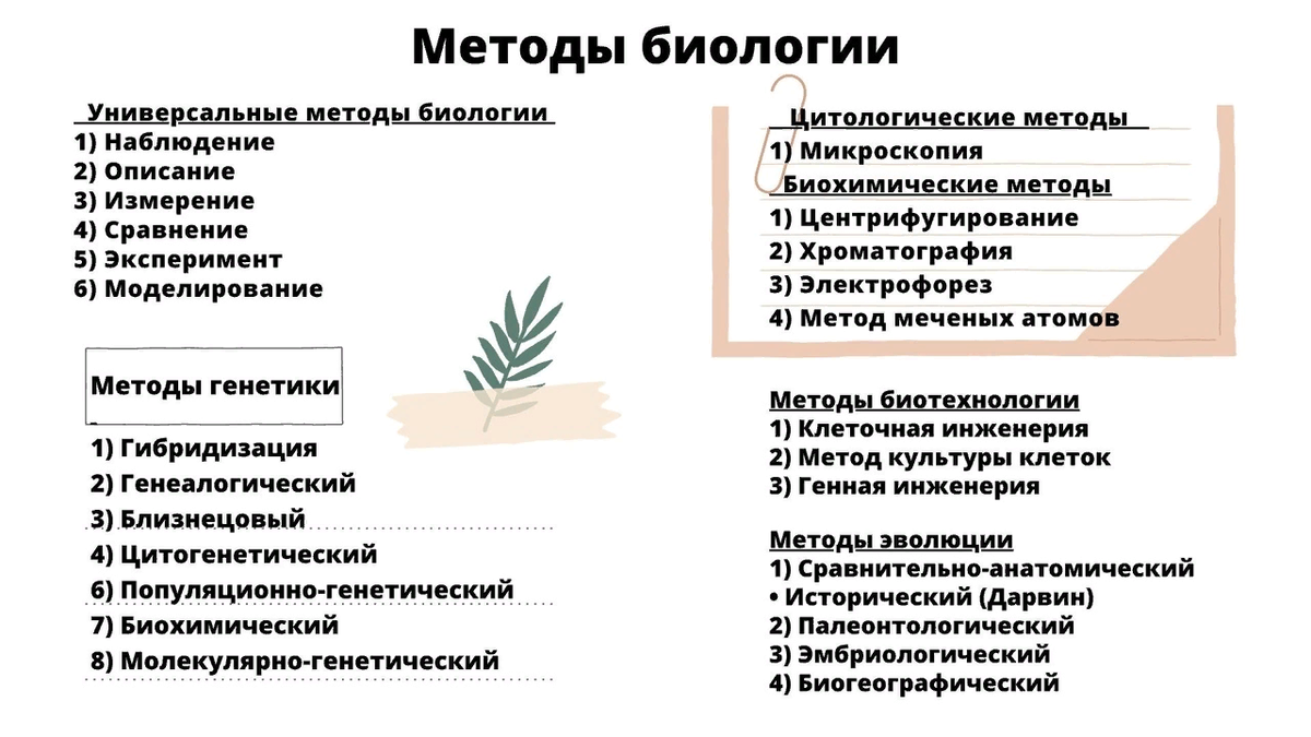 Все методы, встречающиеся на ЕГЭ по биологии
► К универсальным методам в биологии относятся эмпирические методы (основанные на чувственном познании, практике): наблюдение, описание, измерение,...