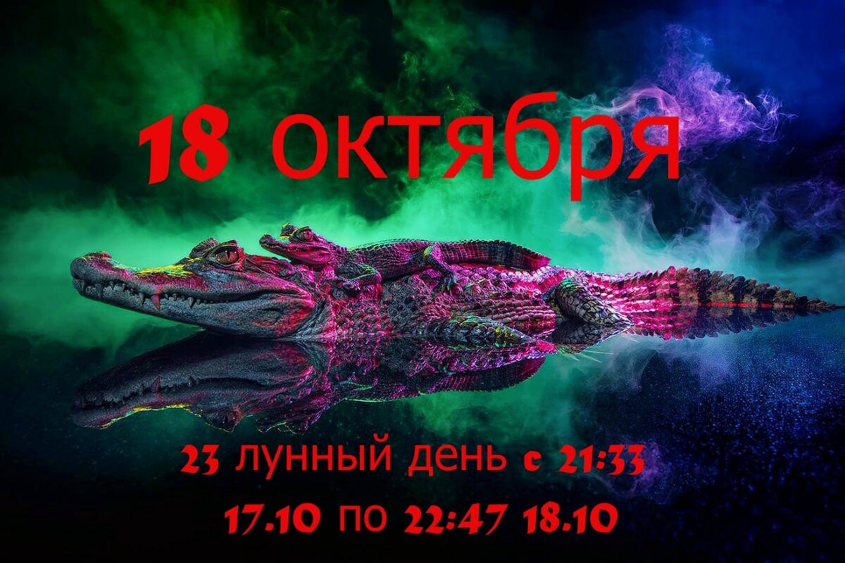 18 октября-23 лунный день | AstroАленка | Дзен