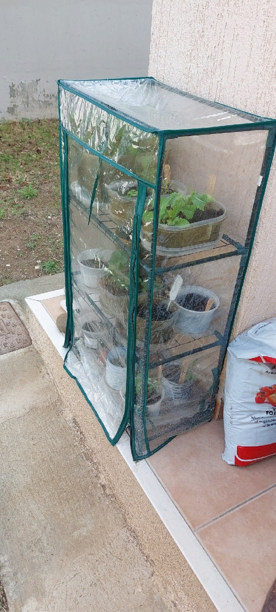 По скидке такие раньше 800 рублей стоили, но сюда разве что рассада влезет