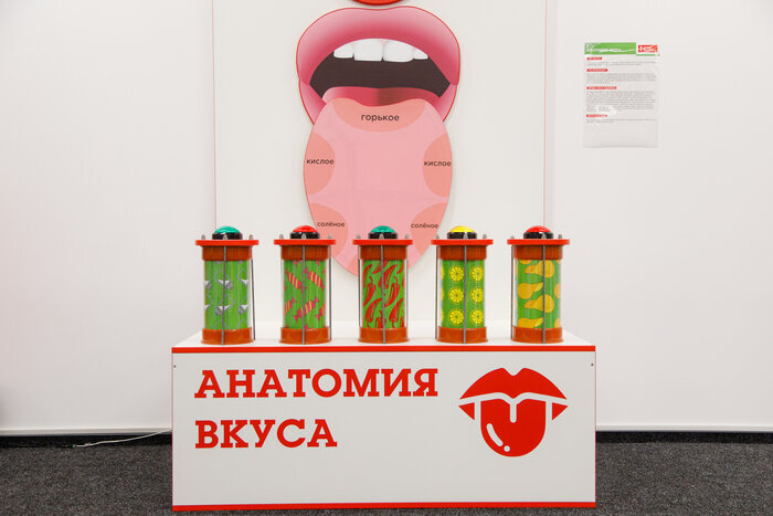 Листайте вправо, чтобы увидеть больше изображений