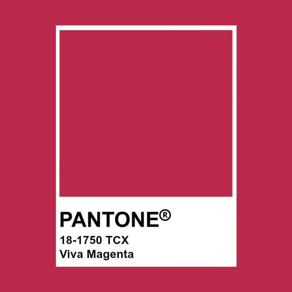    Цвет Viva Magenta Фото: Pantone.ru