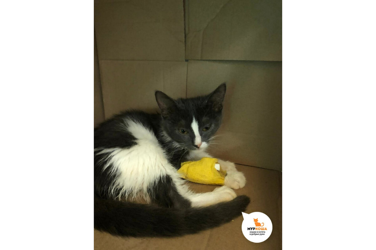 Малыш совсем слабый. 😥