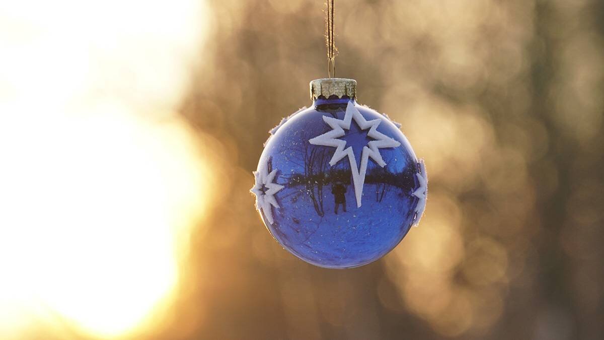    Фото: Анатолий Цымбалюк / Вечерняя Москва