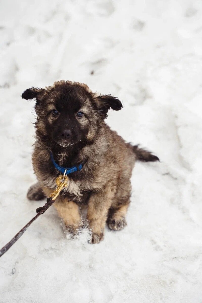 Малышам нужна наша помощь