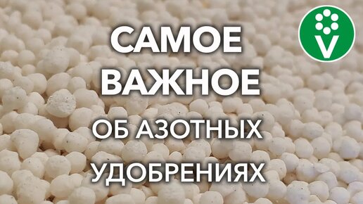 Какие азотные удобрения вносить весной, а какие только летом? Виды азотных удобрений, правила внесения