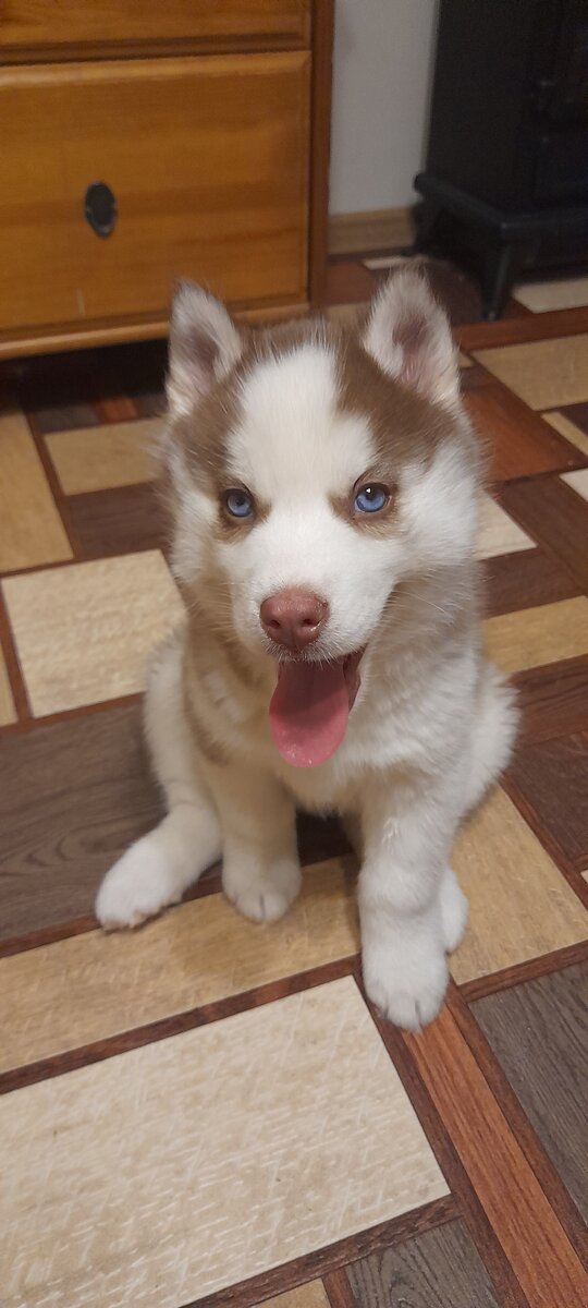 Наечке 2 месяца