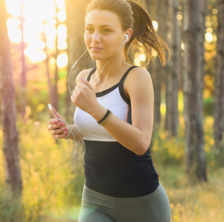 Источник: https://pixabay.com/