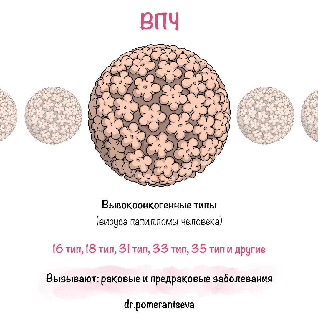 Высокоонкогенные типы вируса папилломы человека 