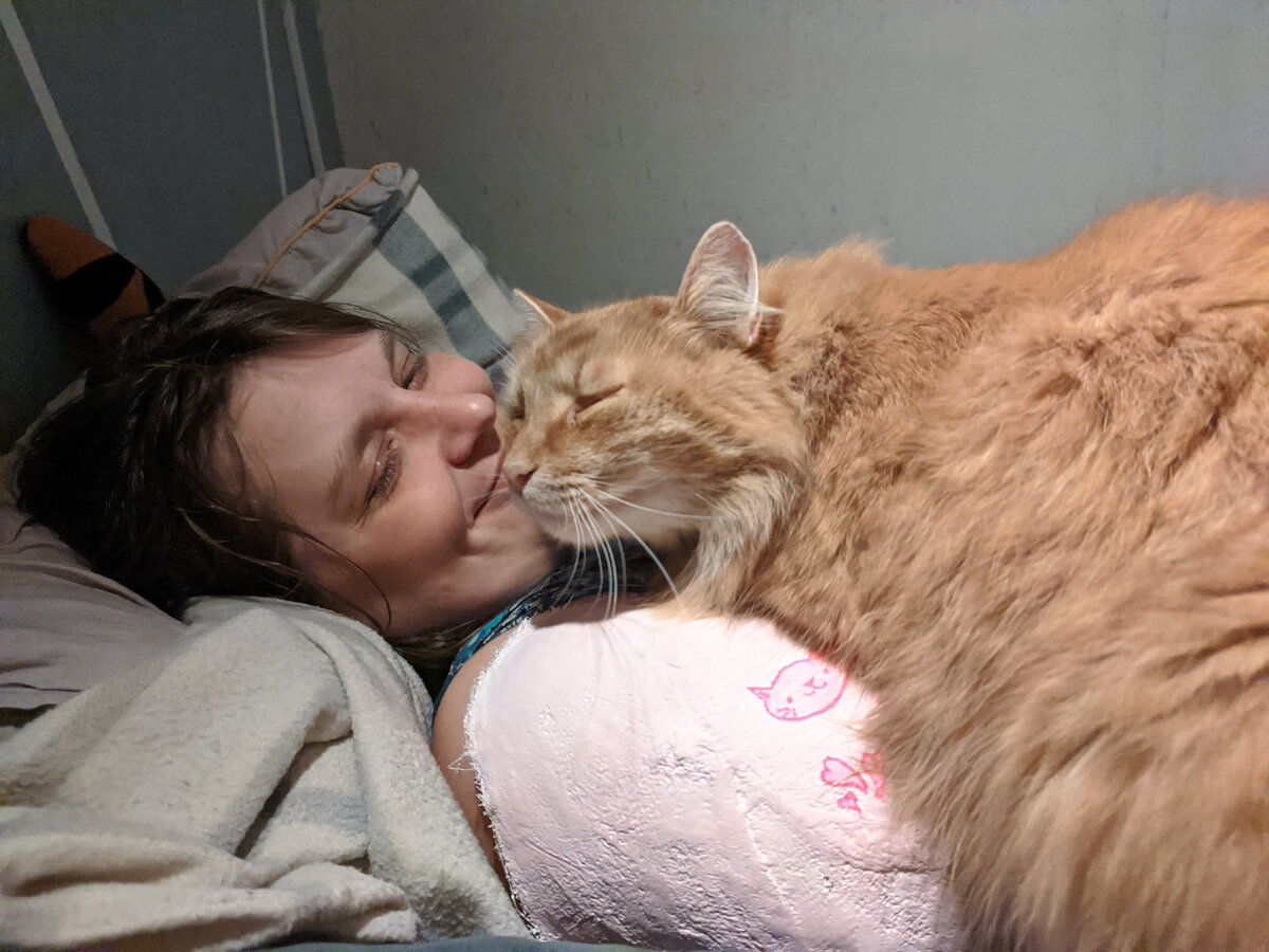 Кот лечит