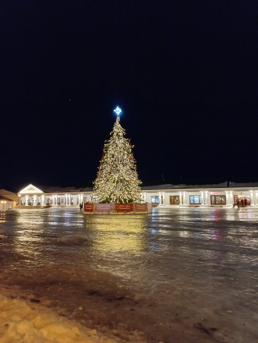 Вот такая красавица-ёлка, но подойти к ней мы не рискнули - коньков с собой не было:)