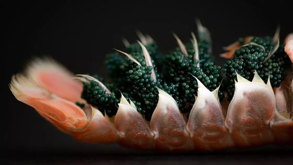 Самые дорогие блюда в мире: Unsplash 