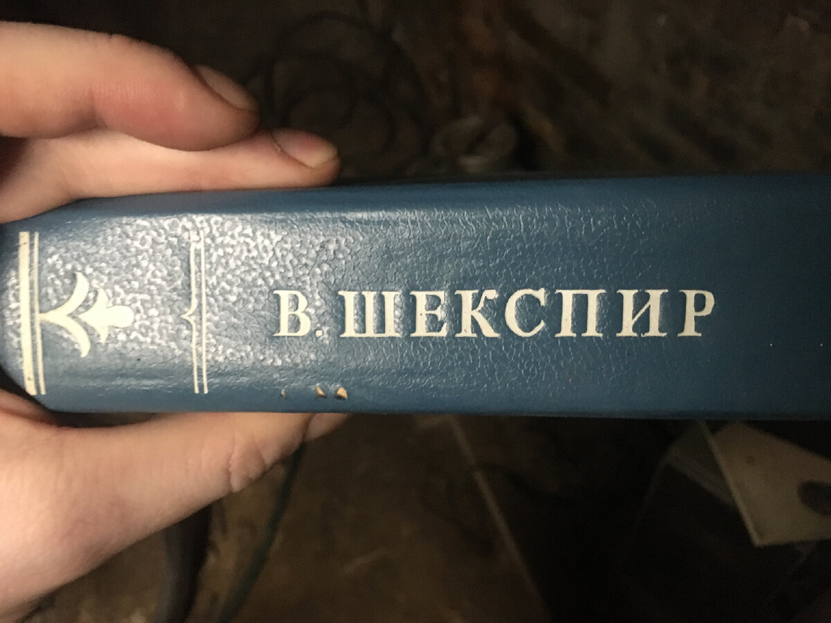 Моя библиотека. Продаю книги, а покупатели хотят топить ими печь | Макс  Корон | Дзен