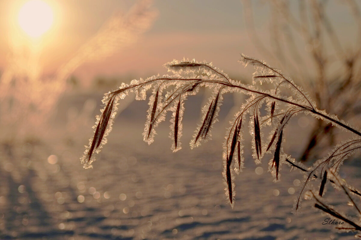 Источник Яндекс картинки