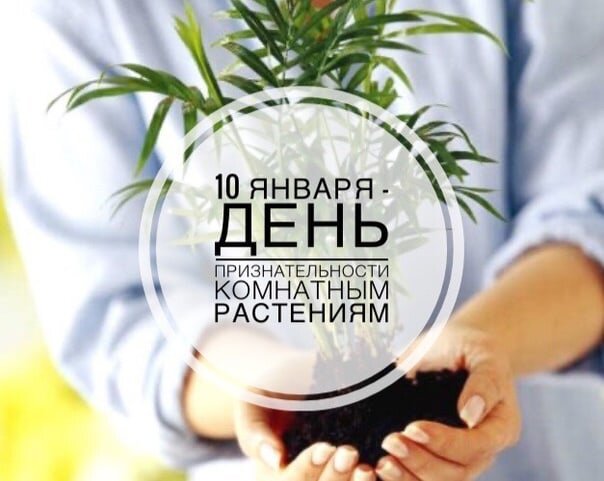 Источник фото: https://vk.com/wall-127066978_12025