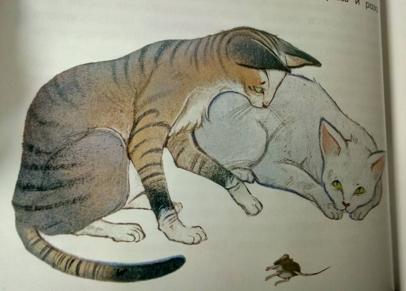 Питер и Дженни