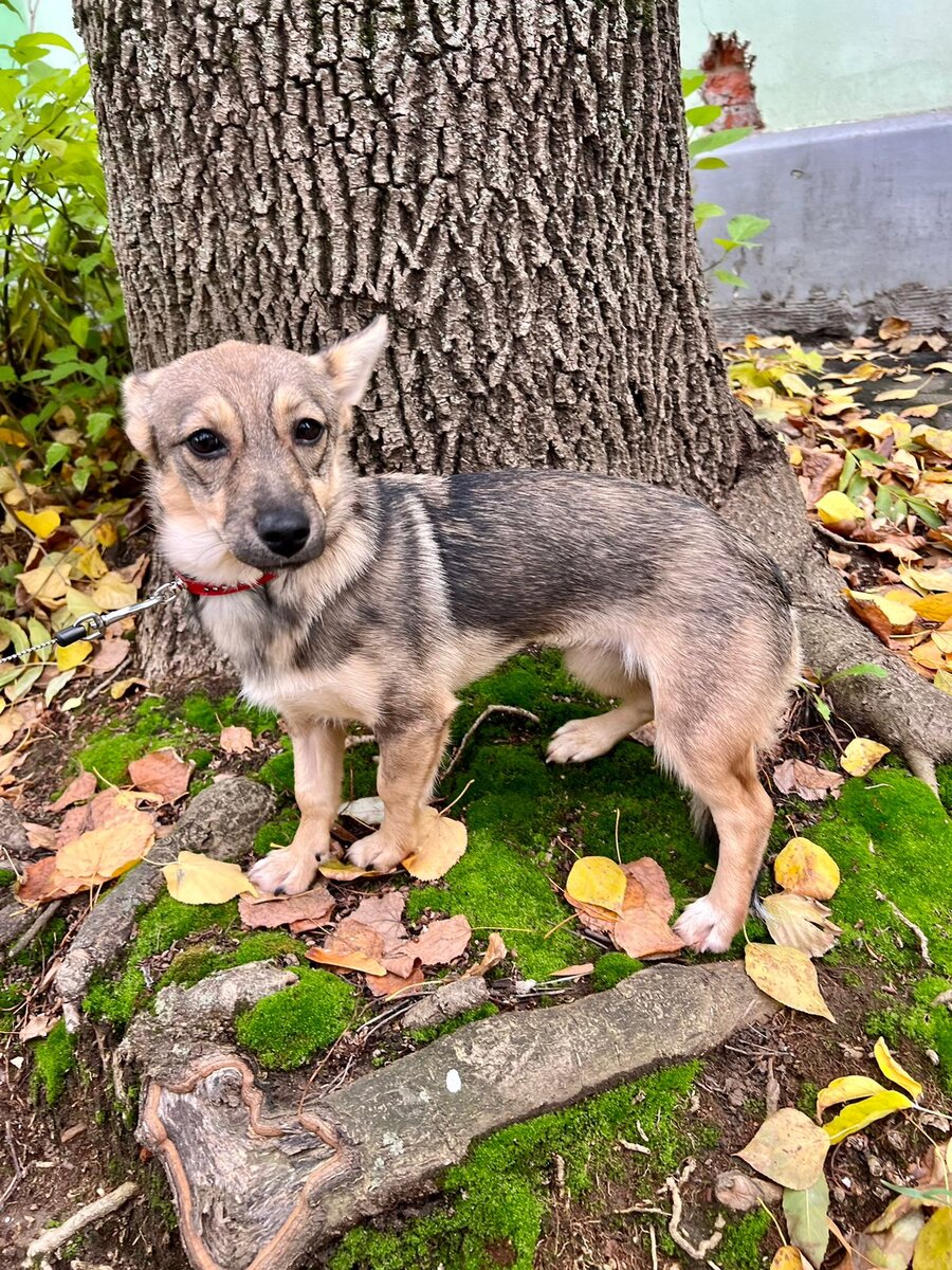 Маня первый привет из дома