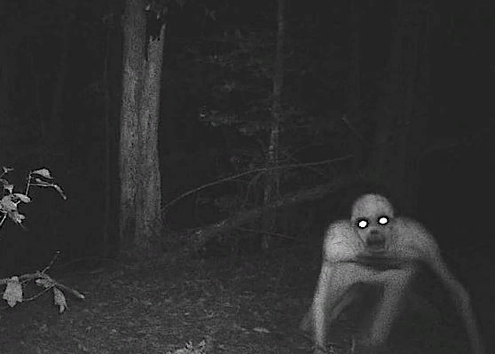 Взято с открытого источника https://ic.pics.livejournal.com/lunatic_freek/79056433/15510/15510_original.jpg