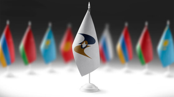    Путин заявил о возможности ЕАЭС стать одним из мощных полюсов нового мира Татьяна Сидорова