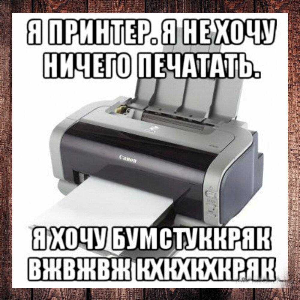 Я принтер. Я не хочу ничего печатать. Хожу вжжж, шшш, стук, бряк. А дай ещё  бумаги пожевать», - так живёт мой капризный принтер | Степан  Корольков~Хранитель маяка | Дзен