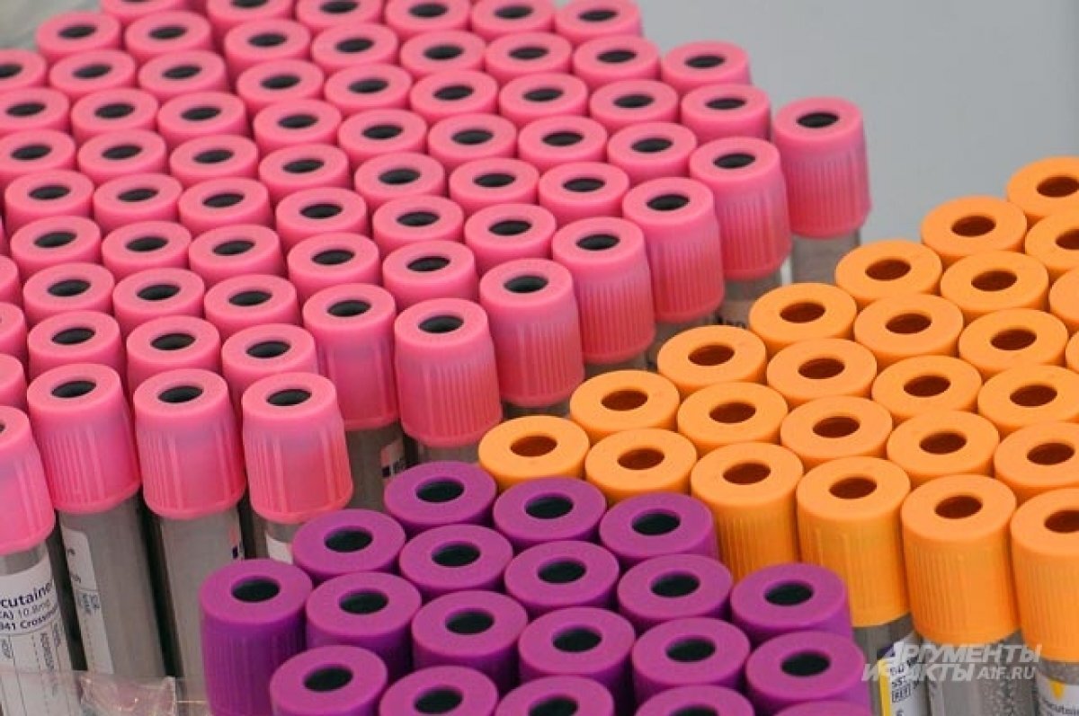    Общероссийская акция в поддержку донорства костного мозга прошла на Юге РФ