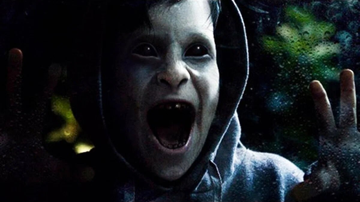 Фото из интернета, свободного доступа