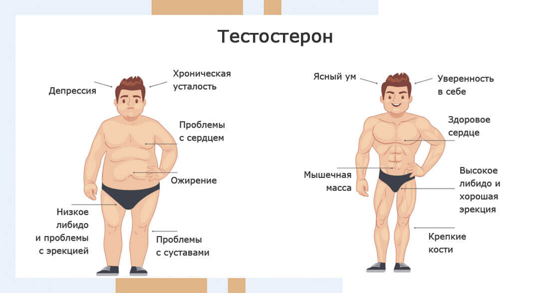 Тестостерон в картинках