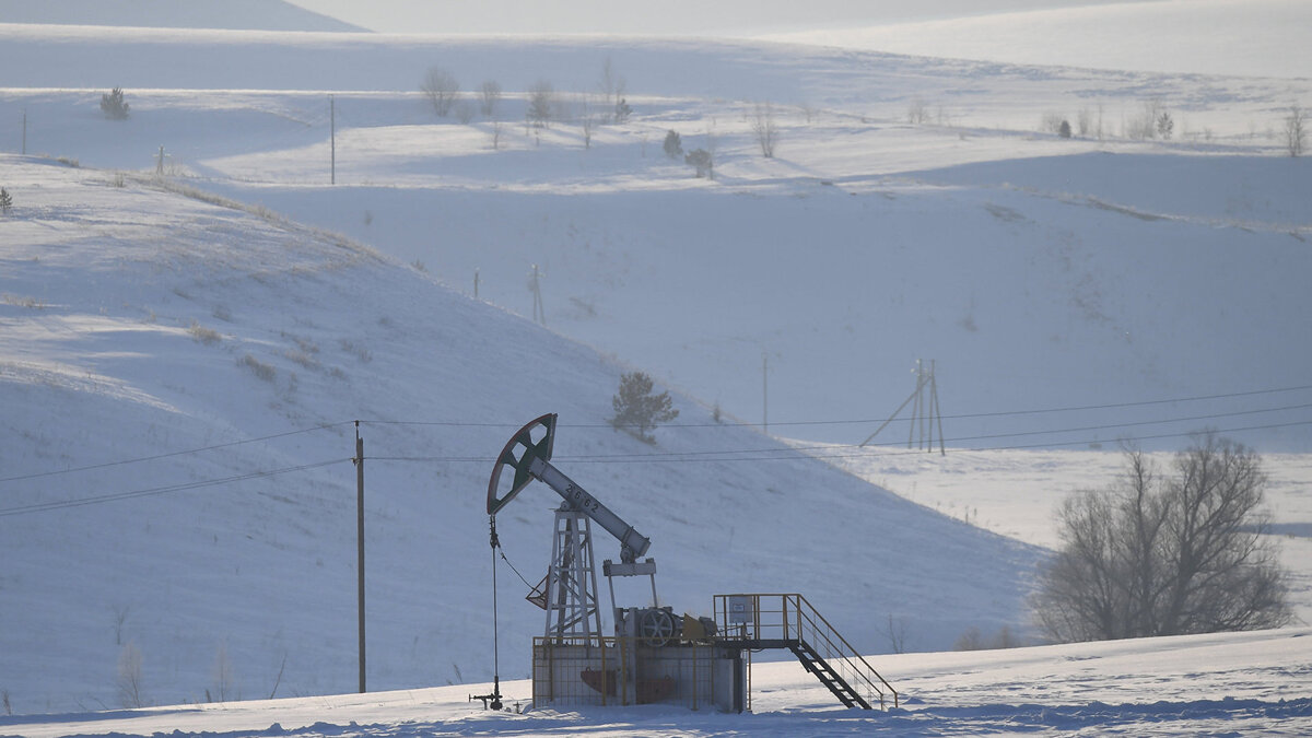    Нефтяная качалка в Альметьевском районе Республики Татарстан© РИА Новости . Максим Богодвид