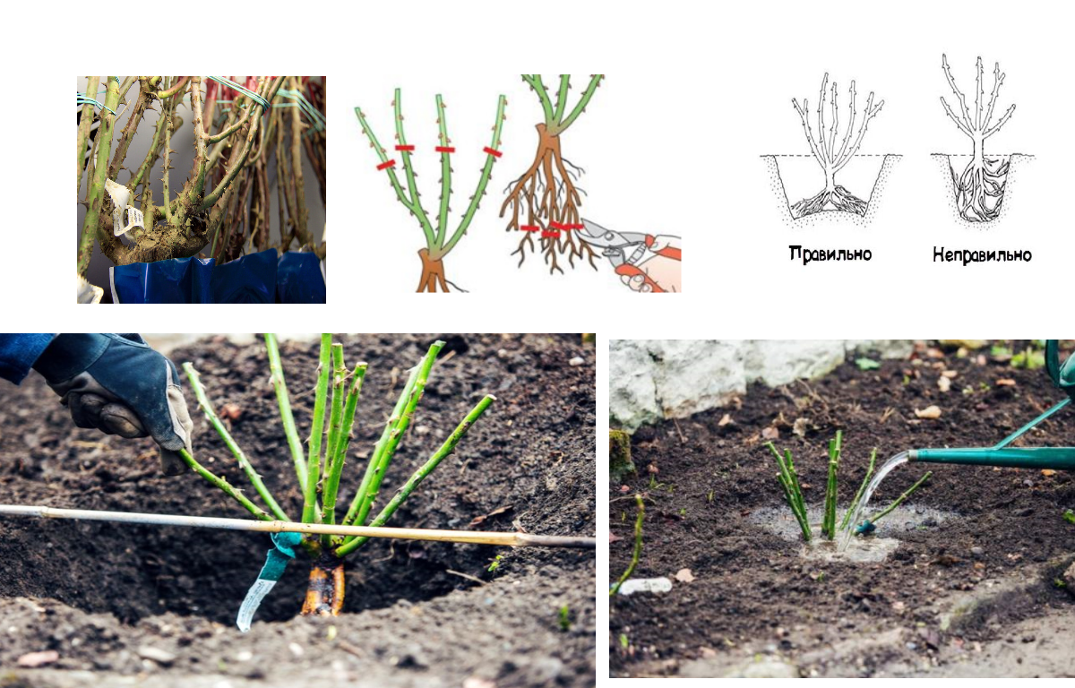 наглядная картинка