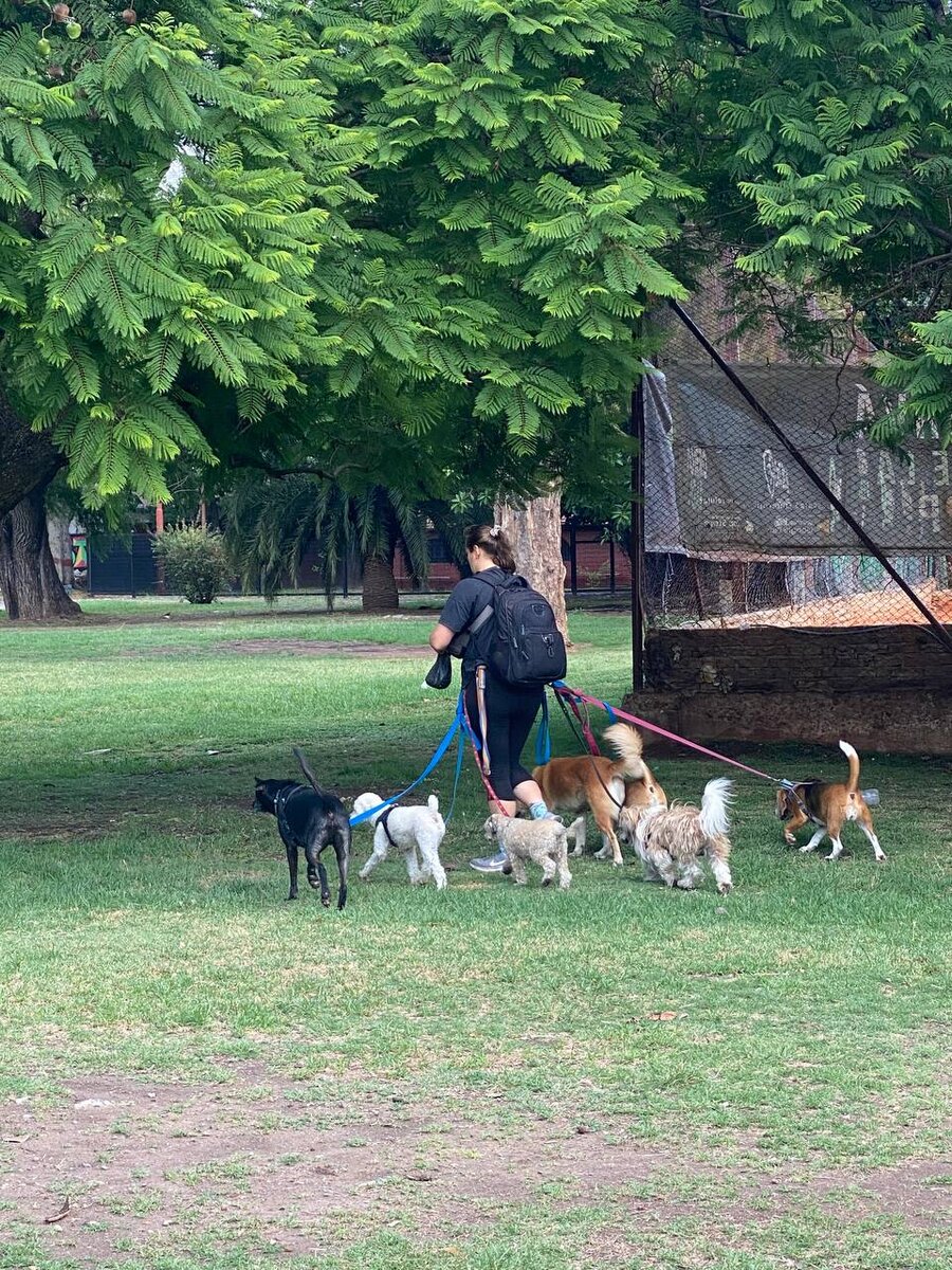 Просто фото))