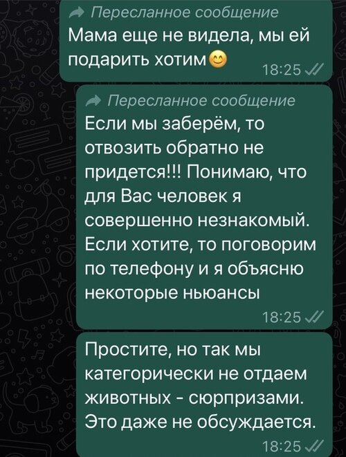 скрин автора