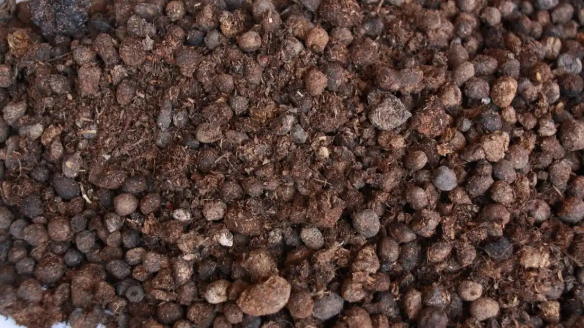 Фото: kakudobrit.ru