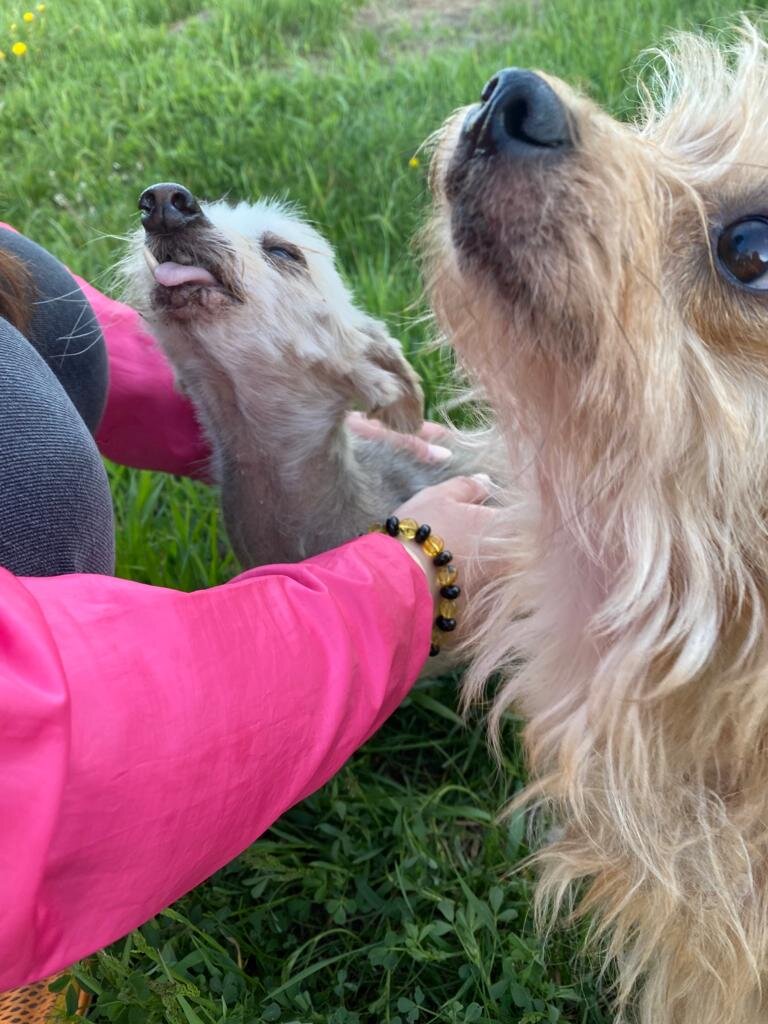 Наше знакомство.