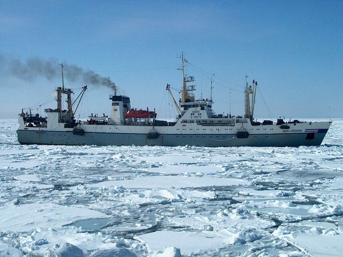 БМРТ Иван Калинин в Охотском море (фото взято из свободных источников в интернете) 